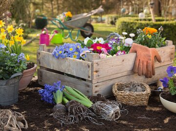 Eine Holzkiste mit vorgezogenen bunten Blumen auf einen Gartentisch mit weiteren Blumen in Töpfen. | © Jeanette Dietl / stock.adobe.com
